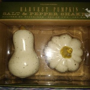 NEW WillIams Sonoma Harvest Pumpkin Salt & Pepper